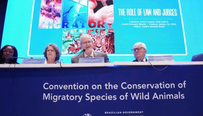 cop15-em-campo-grande-destaca-judiciario-em-especies