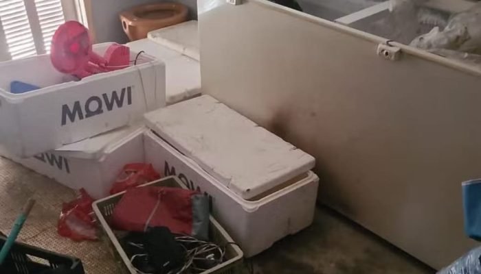 Corpo de homem carbonizado foi encontrado dentro de freezer no RS — Foto: Divulgação/Polícia Civil