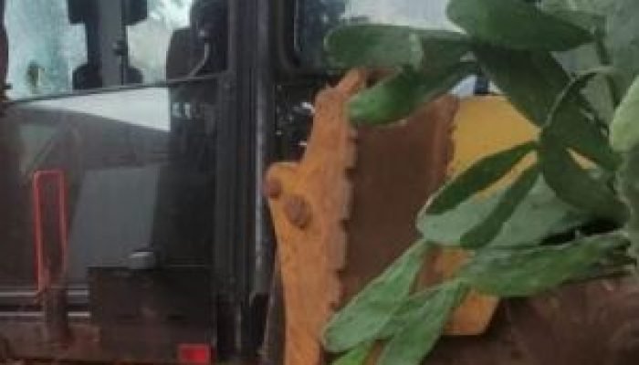 Operador de retroescavadeira é morto a tiros em obra de saneamento em Ponta Porã