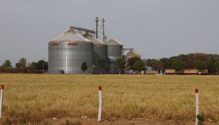 Foto: Foto: Fernando Frazão/Agência Brasil