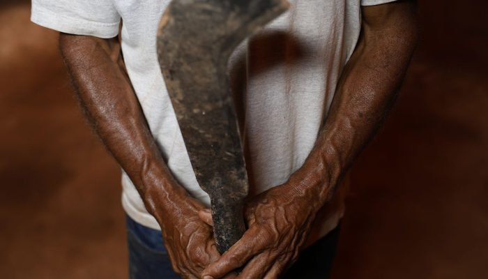 Fronteira Cerrado: desmatamento gera conflitos por terra e grilagem