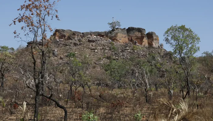 Agência Brasil lança reportagem sobre a expansão do agro no Cerrado