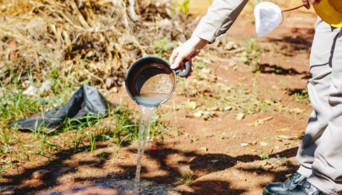 Cuidados devem ser mantidos para evitar proliferação do Aedes aegypti (Foto: Divulgação)
