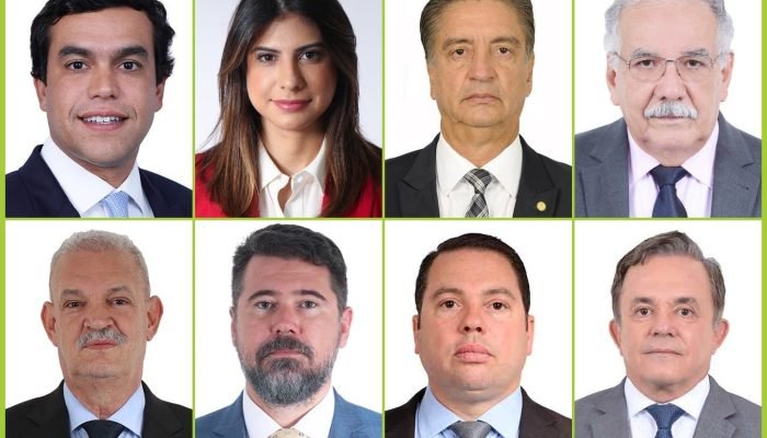 Os oito deputados federais de Mato Grosso do Sul. (Foto: Reprodução)