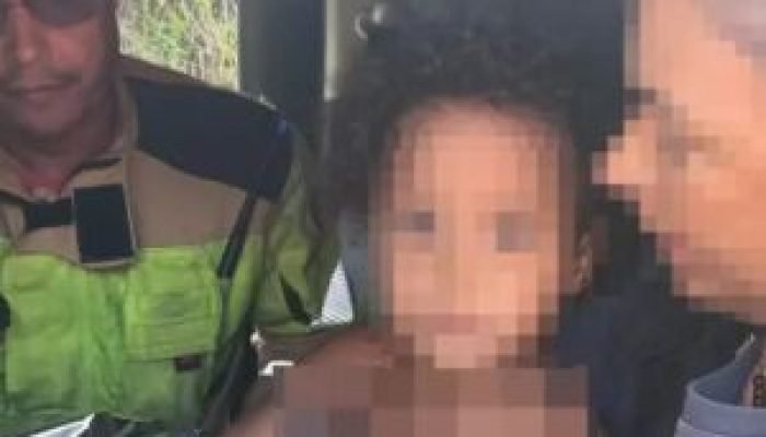 Menina de 4 anos que desapareceu em região de mata é encontrada em MG