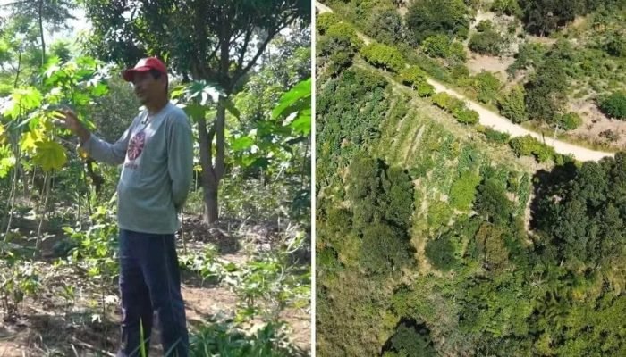 O produtor rural Valdir do Nascimento de Jesus foi assassinado no ataque. Ele era uma das lideranças do assentamento. — Foto: Reprodução/TV Vanguarda