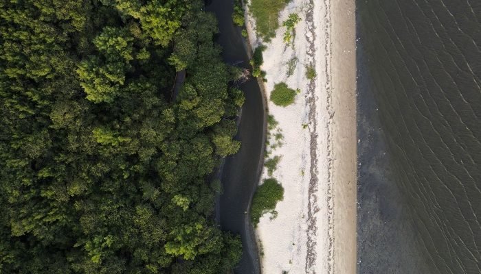 “Não existe Planeta B”, alerta astrofísico às vésperas da COP30