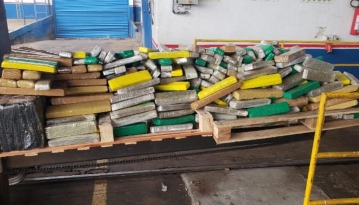Polícia incinera mais de duas toneladas de maconha em Itaquiraí