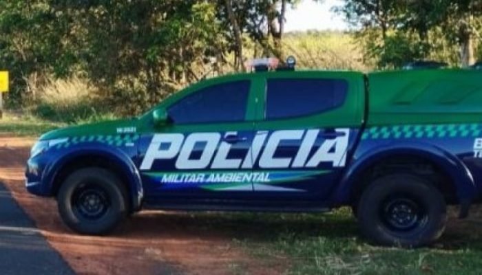 e030bd0450a3bdaab273aaff71994943