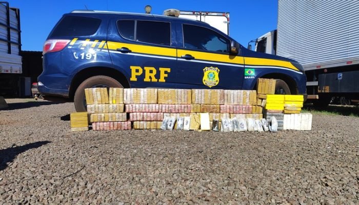 ed64438f-5517-4ca6-b346-1edaf750c83b