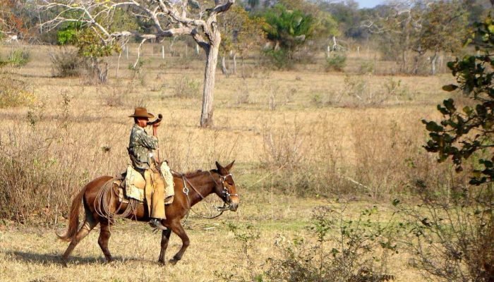 Mato Grosso do Sul, aos 48 anos, abraça a fama de "Velho Oeste Brasileiro": Entenda as raízes históricas e culturais do apelido