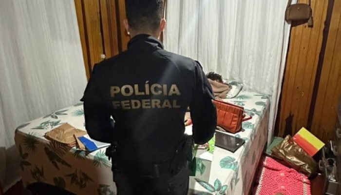 PF combate desmatamento ilegal em assentamento do INCRA