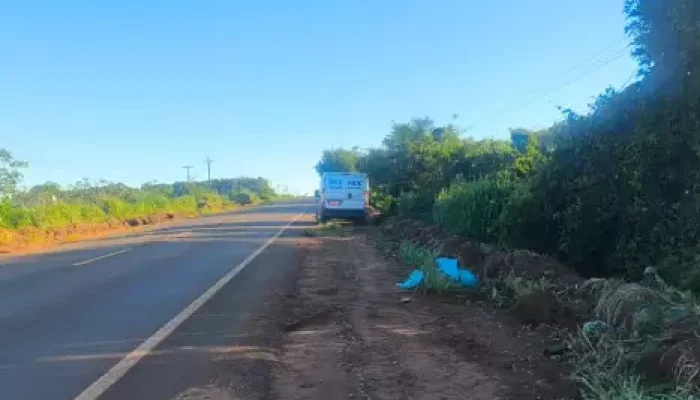 Furgão branco estacionado no acostamento de uma rodovia rural.
