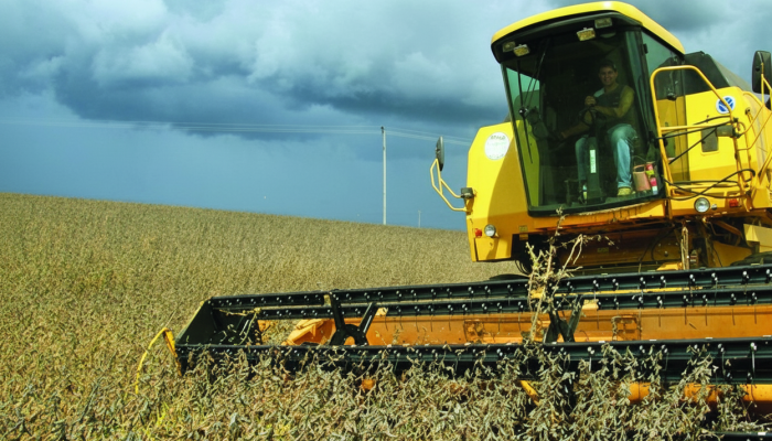 Produção de biodiesel em Mato Grosso do Sul é dominada pelo óleo de soja