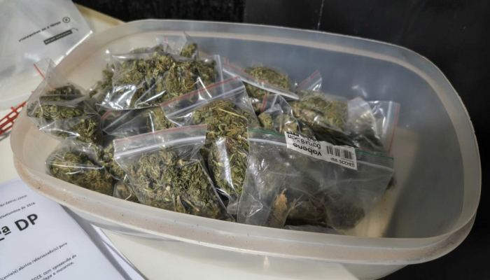 Menina é apreendida em Dourados por tráfico de skunk