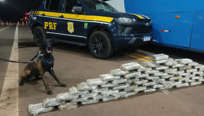 Apreensão de Drogas pela PRF em MS Ultrapassa 300 kg em Fiscalização Intensiva