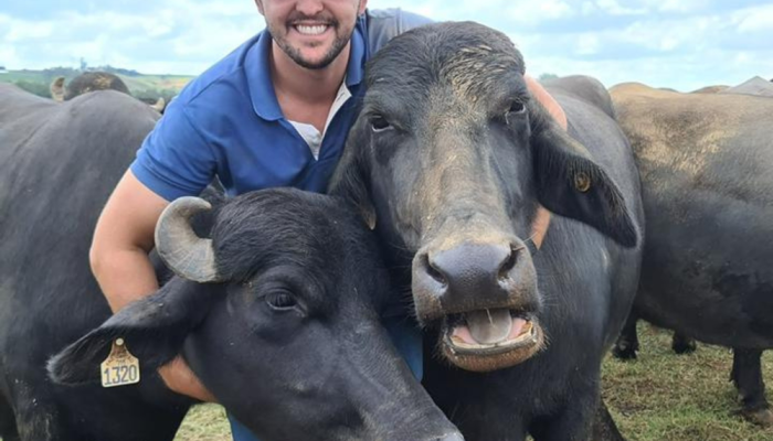 Criador faz búfala influencer e desmistifica os búfalos nas redes online
