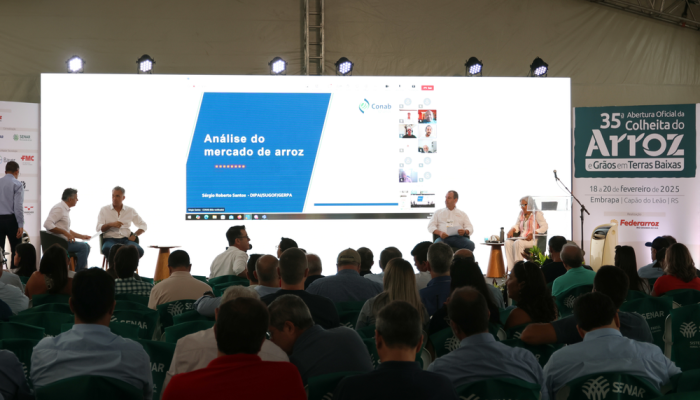 Câmara Setorial do Arroz busca alternativas para crise do setor