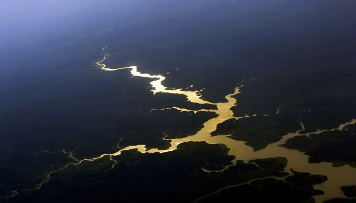 Estudo Alerta para Risco na Captura de Carbono pela Amazônia