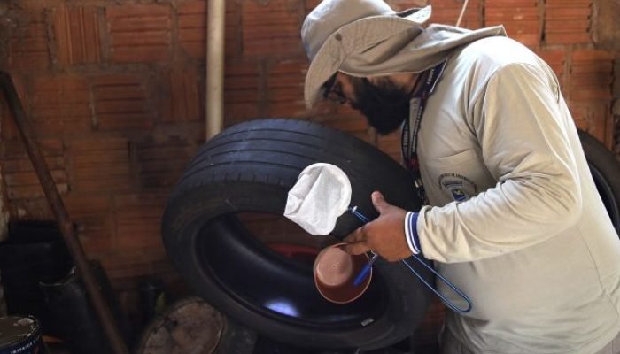MS registra 18 mortes por dengue em 2025; idoso de Dourados é a vítima mais recente