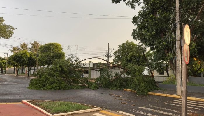 Foto: Julio Fernando