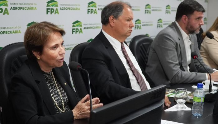 Tereza Cristina é vice-presidente da FPA. (Reprodução, FPA) — Foto: Tereza Crist