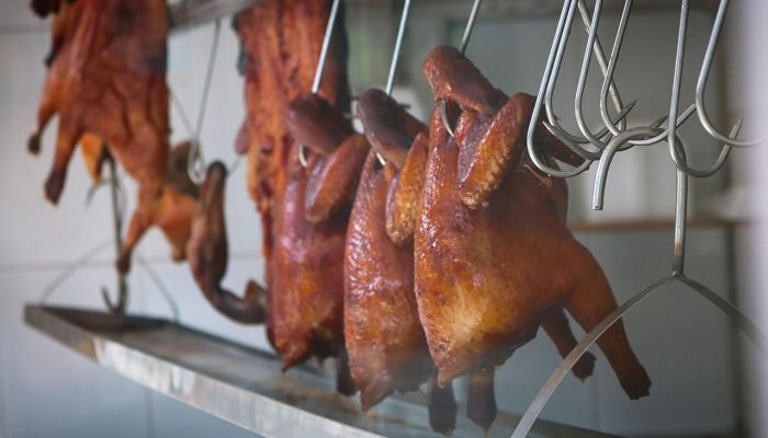 Especialista alerta que mutação da gripe aviária pode gerar pandemia mais grave que a Covid