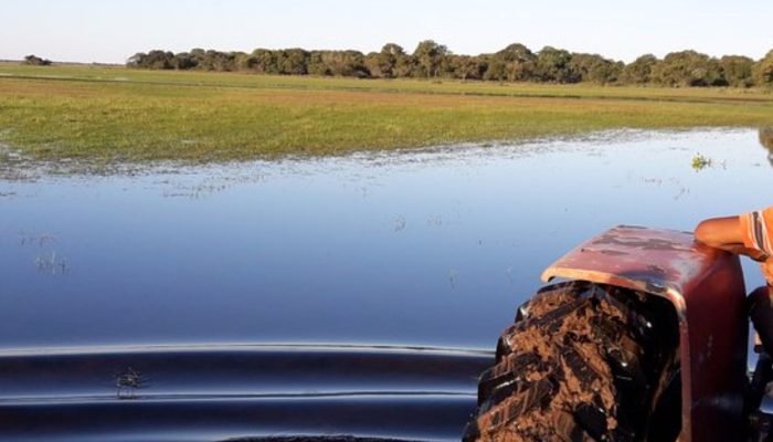 Área da propriedade onde funcionário desaparecido deveria ter chegado. — Foto: Á