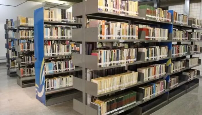 fundacao-cultura-ms-abre-inscricoes-projetos