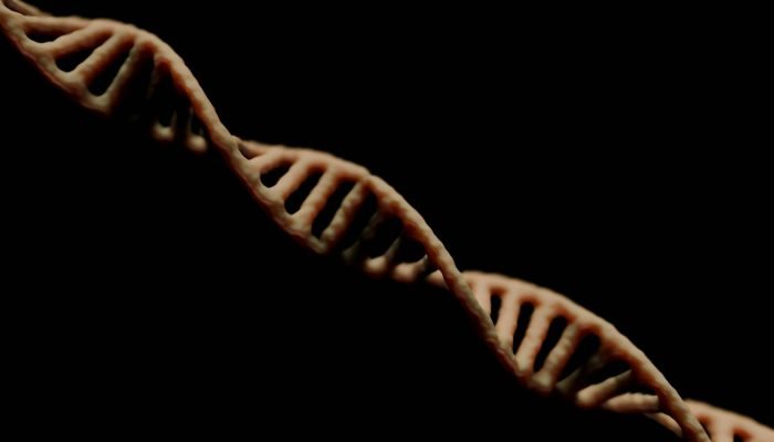 Descoberta no Egito — Foto: Busca Gazeta do Povo