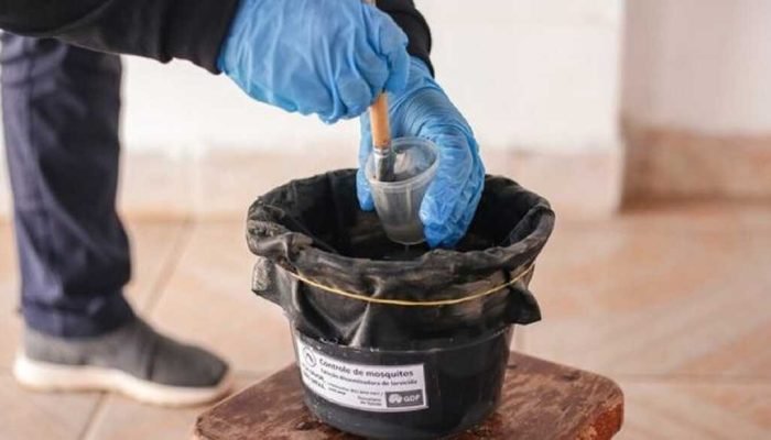 governo-de-ms-armadilha-aedes-reproducao-ministerio-da-saude.jpg