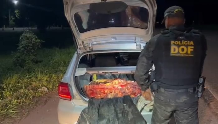 Foto: Foto: Divulgação/DOF