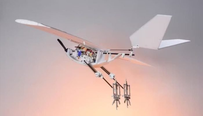 O RAVEN em ação. Inspirado em aves de carne e osso, pássaro-robô pode caminhar, saltar e até voar, de maneira autônoma, sem depender de pistas de decolagem. — Foto: © 2024 EPFL/Alain Herzog with CC-BY-SA 4.0 license