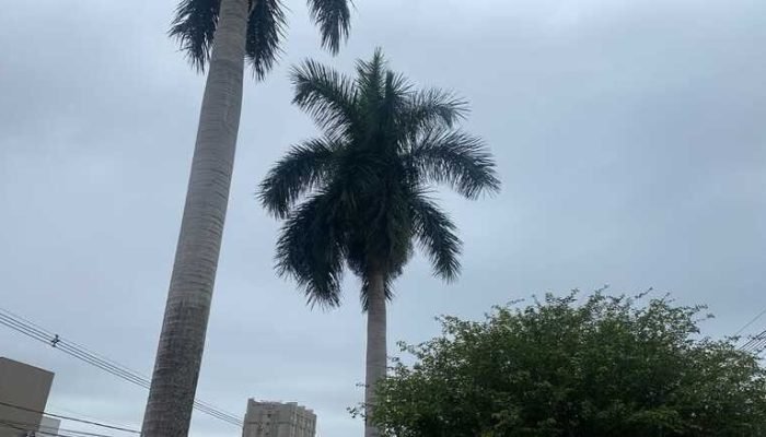 Tempo nublado   (Foto: Pedro Molina/arquivo)