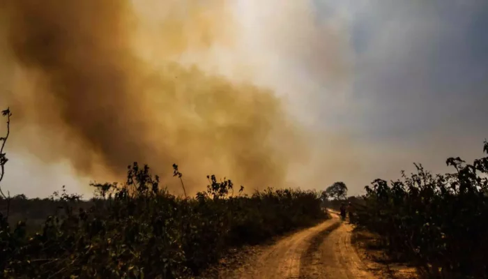incendio-Pantanal-Foto-Henrique-Arakaki-Midiamax-1-1536x864-1