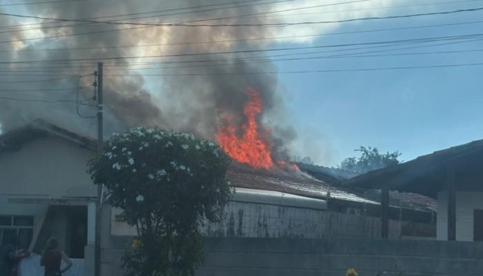 Fogo atingiu grandes proporções - Foto: Fala Povo, Jornal Midiamax