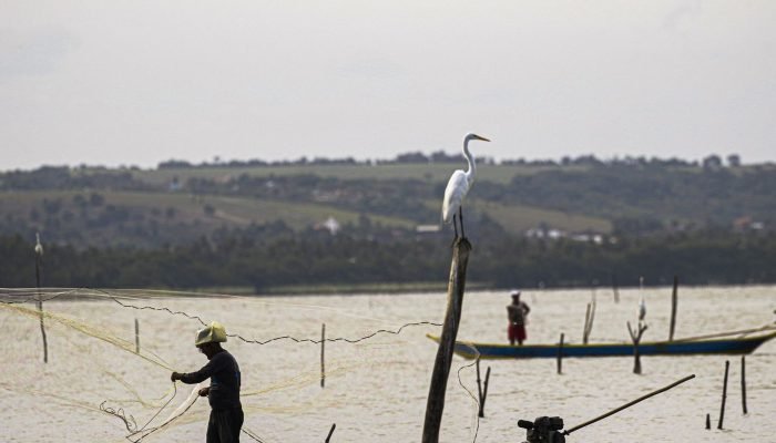 Gestão do seguro-defeso passa oficialmente ao Ministério do Trabalho