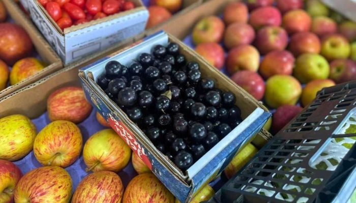 Jabuticaba Chega às Prateleiras em Campo Grande com Preços Variados