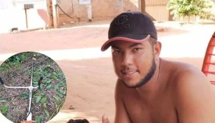 José Victor Viana do Nascimento - Crédito: (Redes Sociais e TL Notícias)