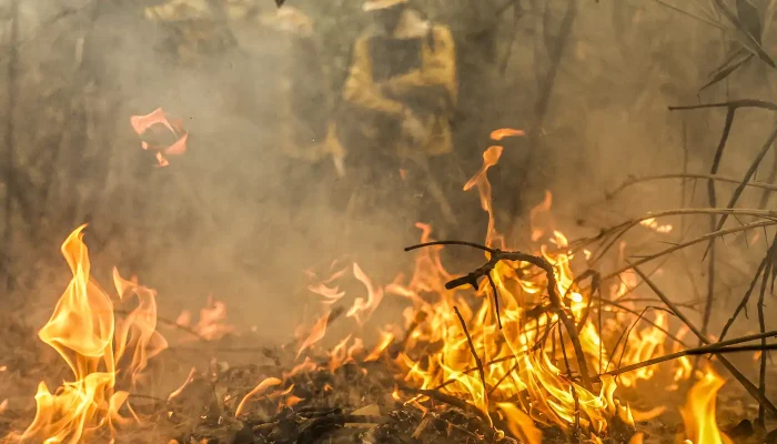 Pantanal é o bioma mais atingido pelo aumento da temperatura no país