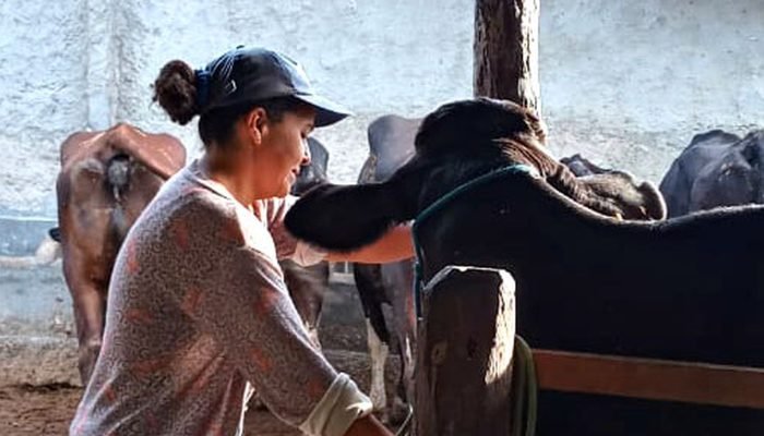 ONU destaca desafios de mulheres rurais 30 anos após Dia Internacional