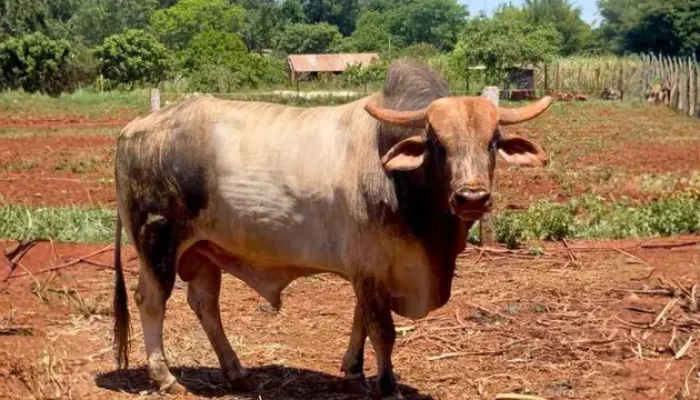 Foto: Foto: Arquivo Pessoal