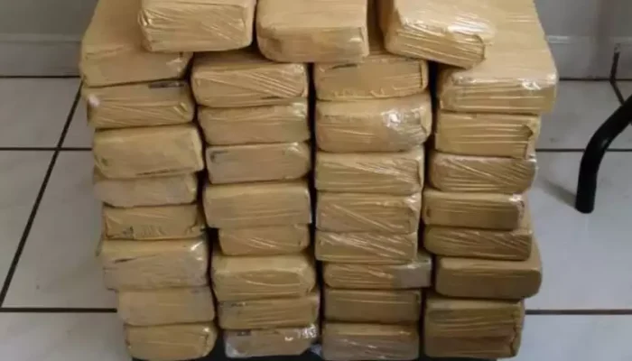 maconha
