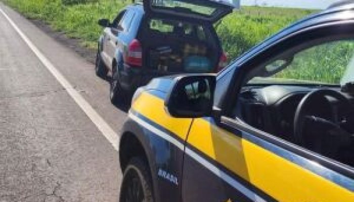 Dupla é presa transportando 185 quilos de maconha na rodovia BR-262