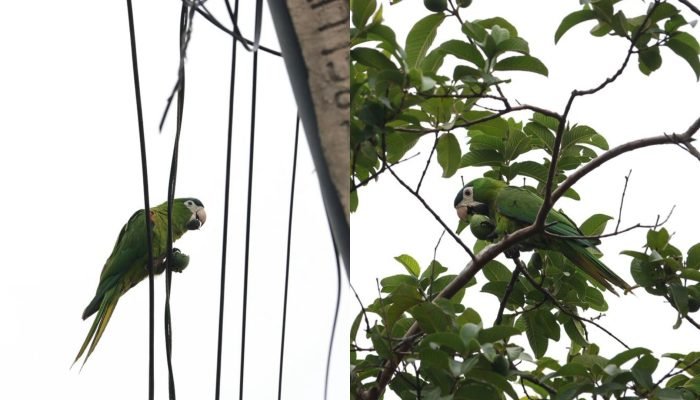 Foto: Imagem ilustrativa. (Madu Livramento, Jornal Midiamax)