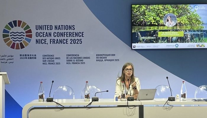 Cop30: especialista urge aumento do financiamento para a saúde dos Oceanos