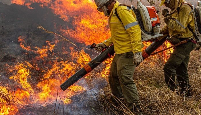 Brasil defende ação global contra incêndios florestais em Pré-COP