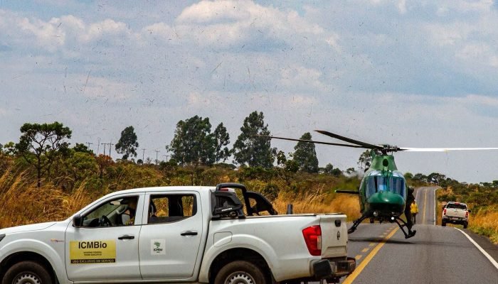 Incêndios na Chapada dos Veadeiros são quase extintos após chuvas
