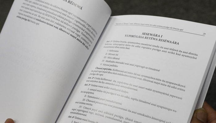 Aumento Expressivo no Número de Falantes de Línguas Indígenas no Brasil