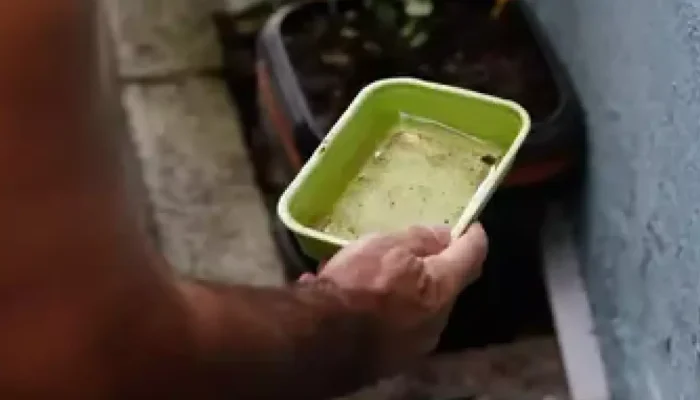 Mão segurando pote com água parada e larvas de mosquito.